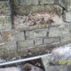 Bridge at Ormiston House