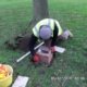 Loretto School creating stonework
